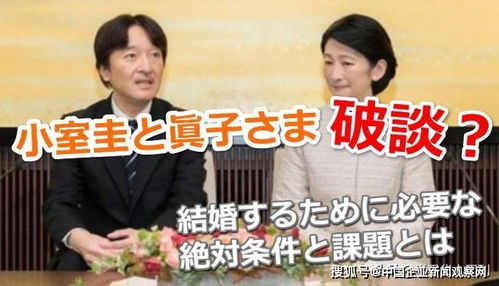 热播短剧退婚后我成了护夫狂魔免费在线观看_退婚后我成了香饽饽--第1张