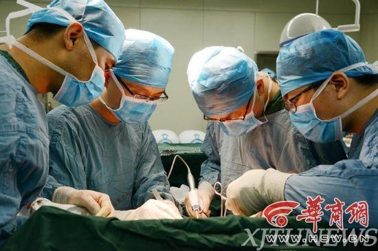 热播短剧高不可攀的她免费在线观看_高不可攀在线阅读--第1张