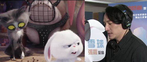 短剧白富美前期跪求复合全集观看_白富美新解--第1张