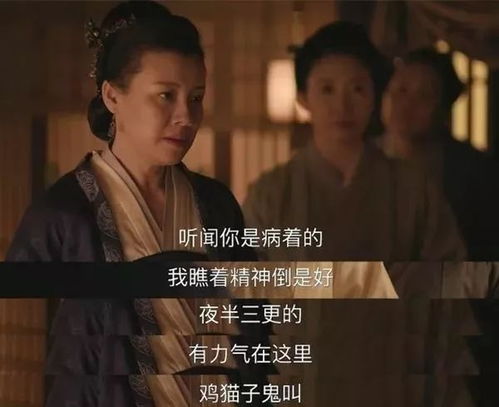 热播短剧相思不似相逢免费在线观看_相思不相思--第1张