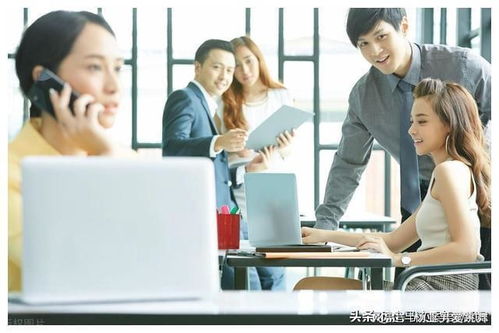 短剧打工人的巅峰人生全集观看_打工人--第1张
