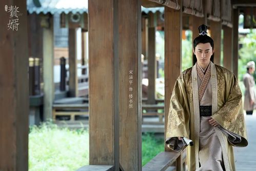 短剧拯救豪门的赘婿全集观看_拯救豪门残疾男主免费阅读--第1张