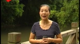 短剧离婚吧真当我是瘌蛤蟆全集观看--第1张