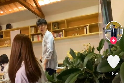 短剧女总裁的换身奇遇记全集观看_短剧女总裁的换身奇遇记全集观看下载--第1张