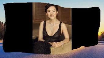 热播短剧九龙城寨之卧虎藏龙吴春怡免费在线观看_卧虎藏龙刘承羽--第1张