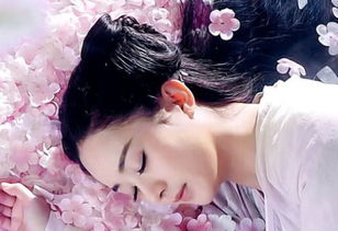 热播短剧无上剑魂仙侠剧梦丹免费在线观看_无上丹尊梦醒泪殇最新章节--第1张