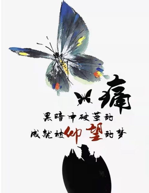 热播短剧破茧重生免费在线观看_破茧重生电王--第1张