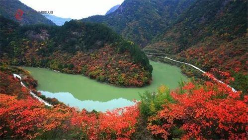 热播短剧御龙在天免费在线观看_御龙在天2最新消息--第1张