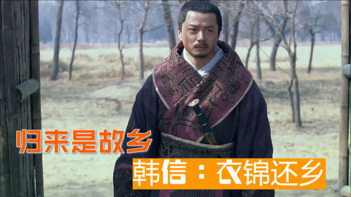 短剧王者归来之衣锦还乡全集观看_王者归来20130405--第1张