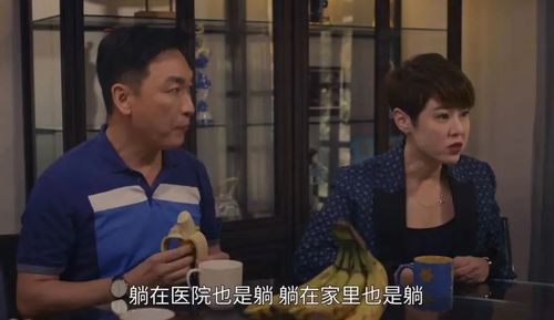 热播短剧寻亲免费在线观看_寻亲题材电视剧--第1张