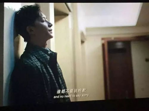 短剧孤注一掷再见前妻前任重逢&离婚后高冷总裁痛哭流涕全集观看--第1张