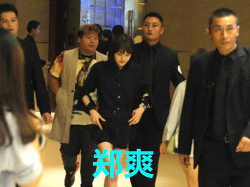 热播短剧明星老婆的贴身保镖免费在线观看_明星妻子综艺节目叫什么--第1张