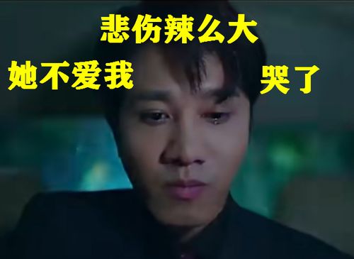 短剧被疯批少爷宠上天全集观看_短剧被疯批少爷宠上天全集观看下载--第1张