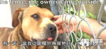 短剧二狗的开挂人生全集观看_小说二狗子开挂人生--第1张