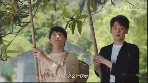 热播短剧似是故人来免费在线观看_似是故人来在线观看完整版--第1张