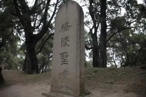 短剧龙驭九州全集观看_龙驭天下 电视剧--第1张