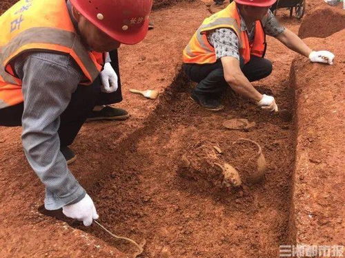 热播短剧战神的百亿新娘免费在线观看_战神回归都市,发现妻子另嫁百亿集团老总--第1张