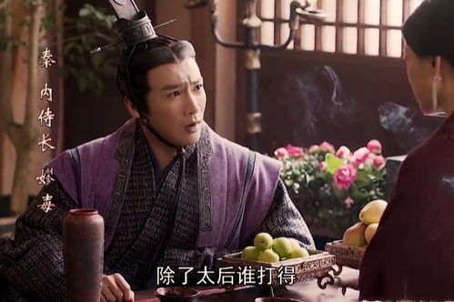 热播短剧穆总，夫人她不是痴心妄想免费在线观看_穆总夫人又轰动全球了--第1张