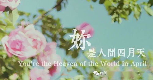 短剧人间芳菲四月天全集观看_人间芳菲四月天歌词--第1张