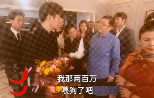 短剧新镇国天王全集观看--第1张