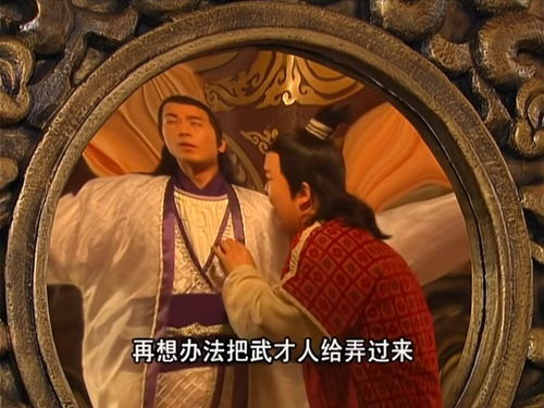 热播短剧至尊免费在线观看_免费观看至尊连续剧--第1张