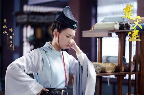 热播短剧穿书后恶毒女配逆天改命免费在线观看_穿书后恶毒女配又疯了 小说--第1张