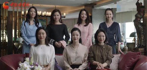 热播短剧重生后夫人的马甲掀翻全场免费在线观看_重生后夫人马甲被四爷--第1张