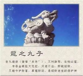 热播短剧护国真龙免费在线观看_护国龙婿百度百科--第1张