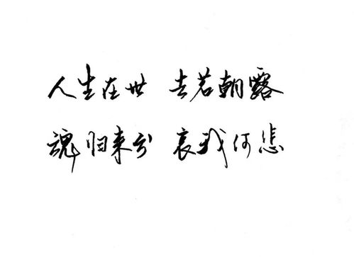 短剧恰逢承书听雨时四一全集观看_恰逢雨连天手机免费阅读--第1张