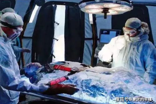 热播短剧国家分配的对象是首富免费在线观看_国家分配的对象gl--第1张