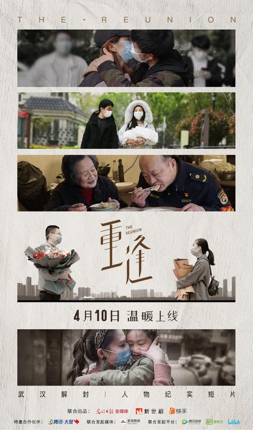 热播短剧今时重逢不相识免费在线观看_今日相逢疑是梦--第1张