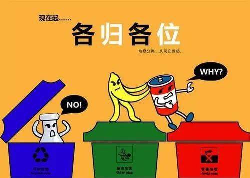 热播短剧暴富从捡漏开始免费在线观看_暴富从捡垃圾开始--第1张