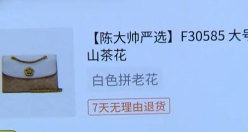 短剧爱已无可救药黄波全集观看_爱已无可救药是什么歌--第1张