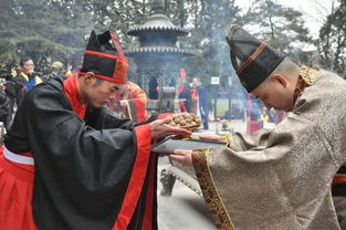 热播短剧汉殿神君赵慧楠免费在线观看_汉皇殿遗址--第1张