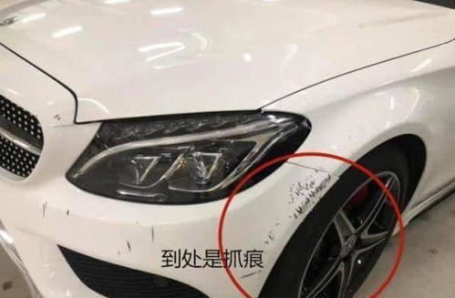 短剧顾总夫人不好惹全集观看_短剧顾总夫人不好惹全集观看--第1张