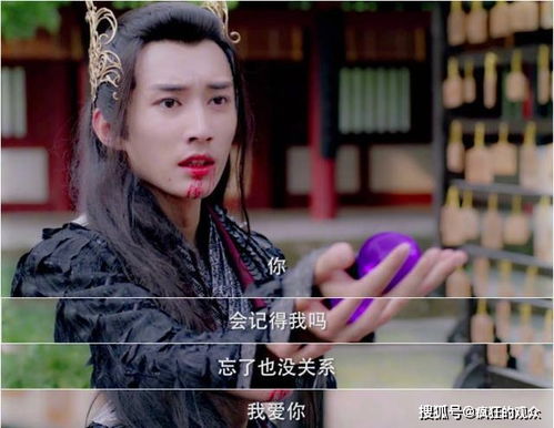 热播短剧-新镇龙天王免费在线观看_镇天龙帅免费--第1张