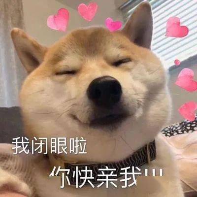 短剧我再也不想恋爱了&我有九千万亿舔狗金全集观看--第1张