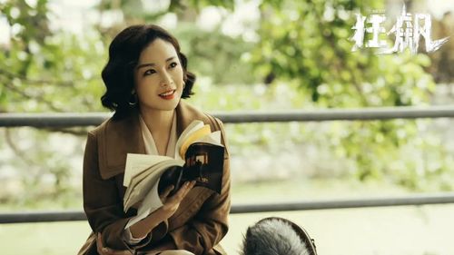 短剧狂飙之傻婿觉醒全集观看_网剧狂飙--第1张