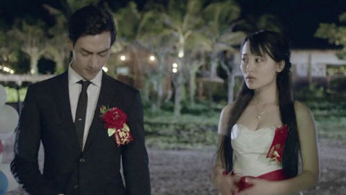 短剧结婚当天新郎重生了结婚一百零一次全集观看_结婚当天重生小说--第1张
