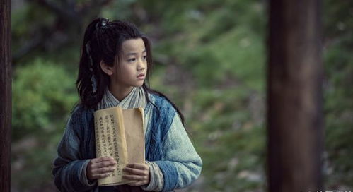 热播短剧少年无双免费在线观看_少年张无忌电视剧全集--第1张