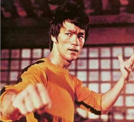 热播短剧盖世拳神免费在线观看_香港武打片盖世拳--第1张