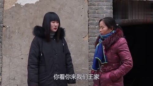 短剧分家后我狂虐极品婆婆全集观看_分家以后害死爹第九集--第1张
