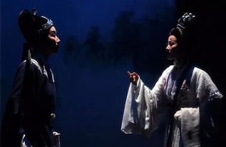 短剧浪子回头&乘风破浪全集观看_浪子回头电视剧2020--第1张