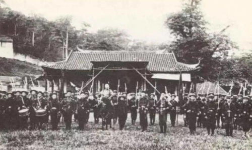 热播短剧九龙城寨，胜者为王免费在线观看_九龙城寨在线观看免费版--第1张