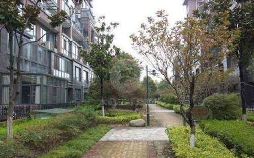 热播短剧逆子，你怎么知道家里很有钱免费在线观看_逆子是如何养成的--第1张
