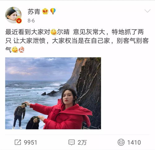 短剧从天而降驸马爷全集观看_从天而降的天后电视剧--第1张