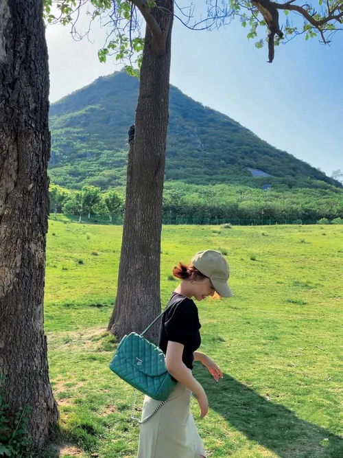 短剧权宠倾华之娇娇王妃全集观看_权宠娇色王妃是只狐狸精--第1张