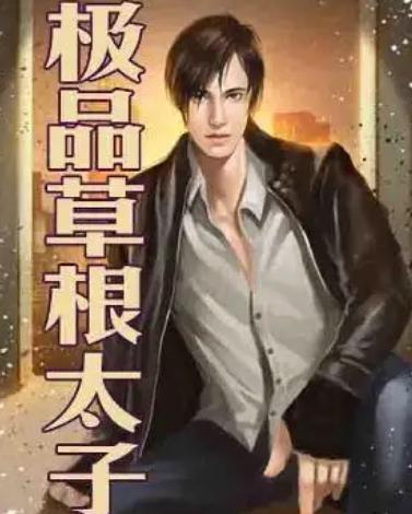短剧极品假太子穿越剧全集观看_极品太子爷免费阅读新笔趣阁--第1张