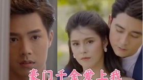 短剧不装了我是豪门千金王飞乔全集观看--第1张