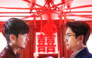 热播短剧贺总的复仇娇妻免费在线观看_贺总小贺总是什么电视剧--第1张
